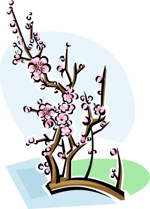 Vector Illustration of Chinese Plum Blossom Flowering Tree Branch