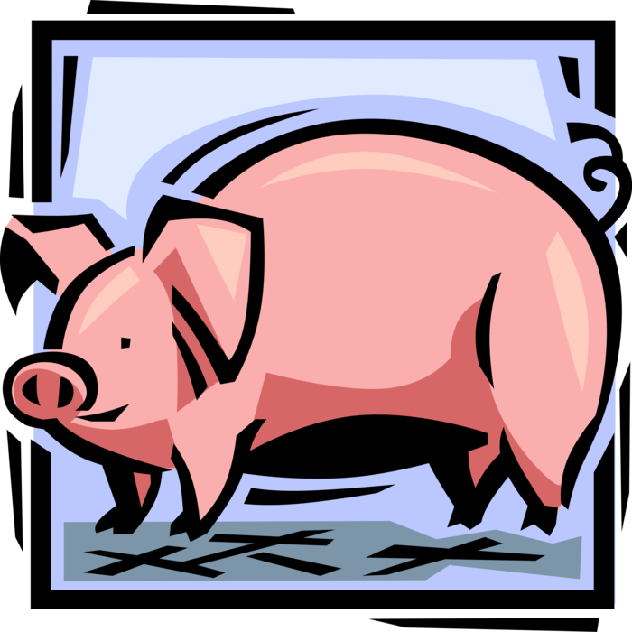 Vector Illustration of Farmyard Destined to Ham Bacon Pig Swine Porker in Farm Pigsty