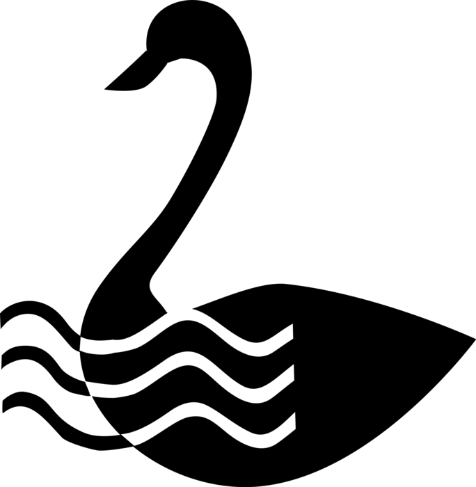 Vector Illustration of Mute Swan Bird Swims in Water