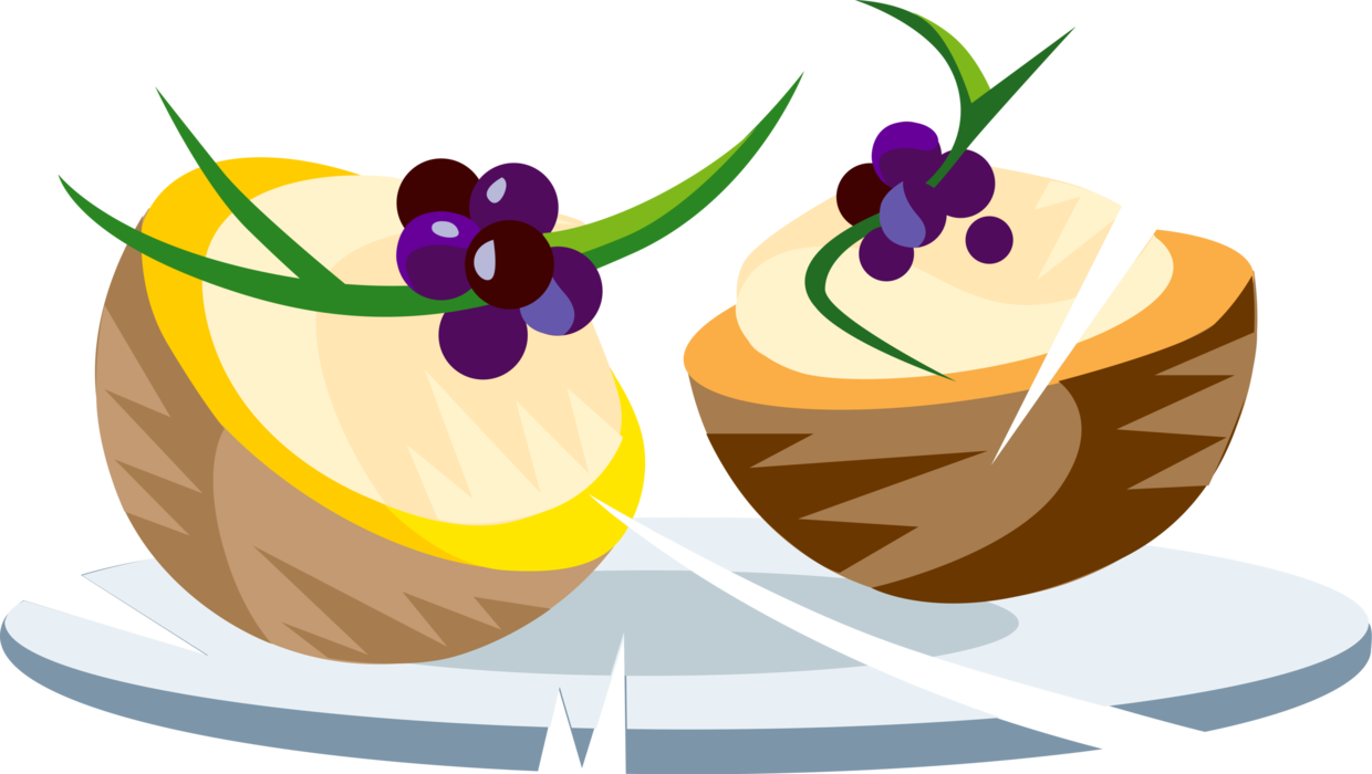 Vector Illustration of Cantaloupe or Cantelope Honeydew Melon Fruit with Creamy Dessert Filling and Berries