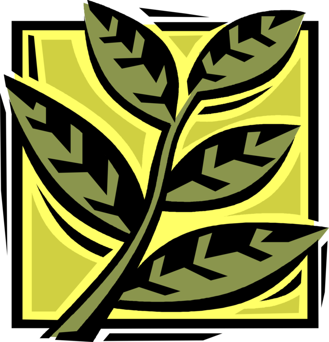 Vector Illustration of Decorative Floral Element Vascular Botanical Horticulture Plant Foliage Leaf