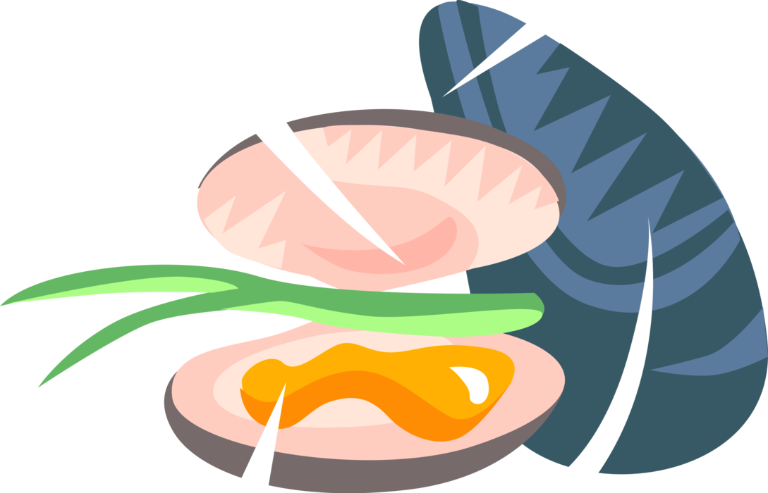 Vector Illustration of Marine Bivalve Mollusk Oyster