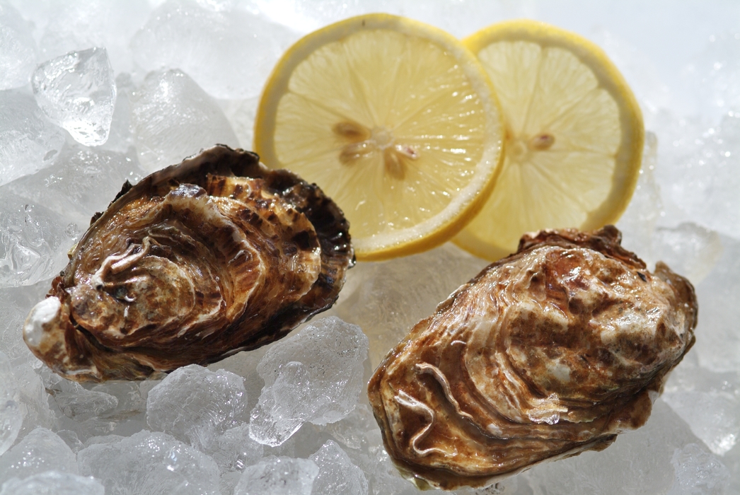 Fresh Oysters on Ice with Lemon Slices