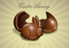Hatched chocolate easter bunny x 3